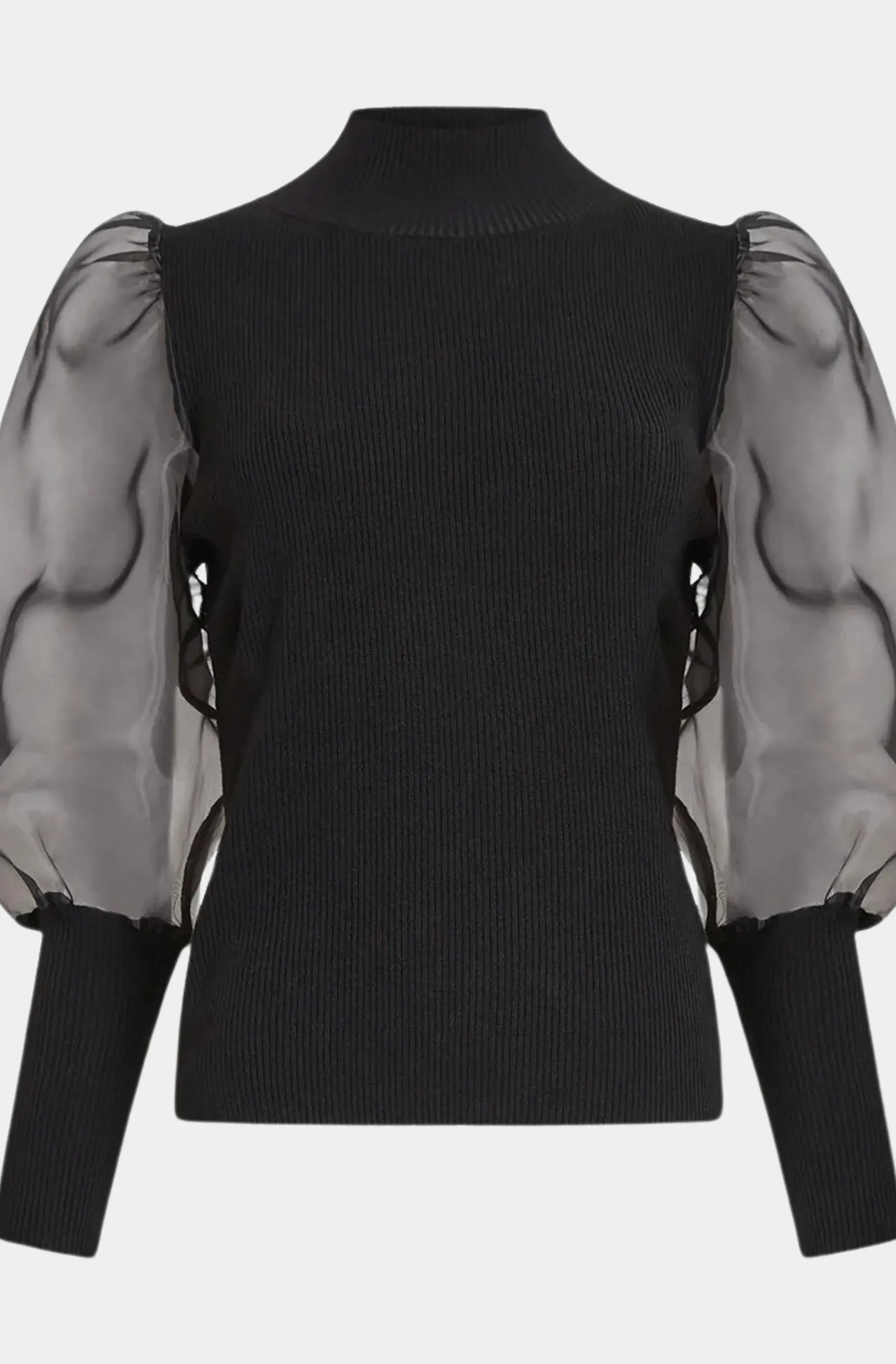 Krista Organza Long Sleeve High Neck Top