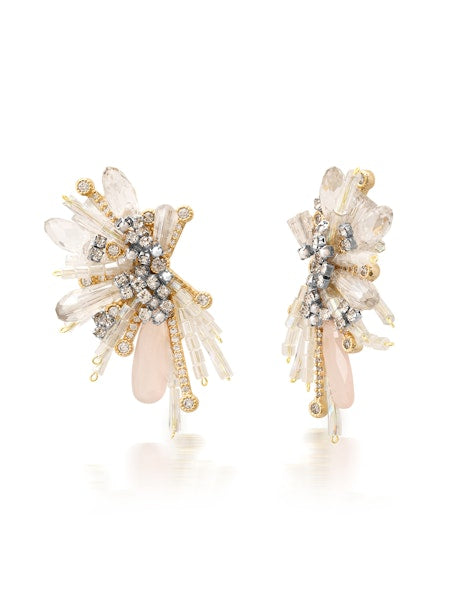 Beads and Crystal Spray Earrings