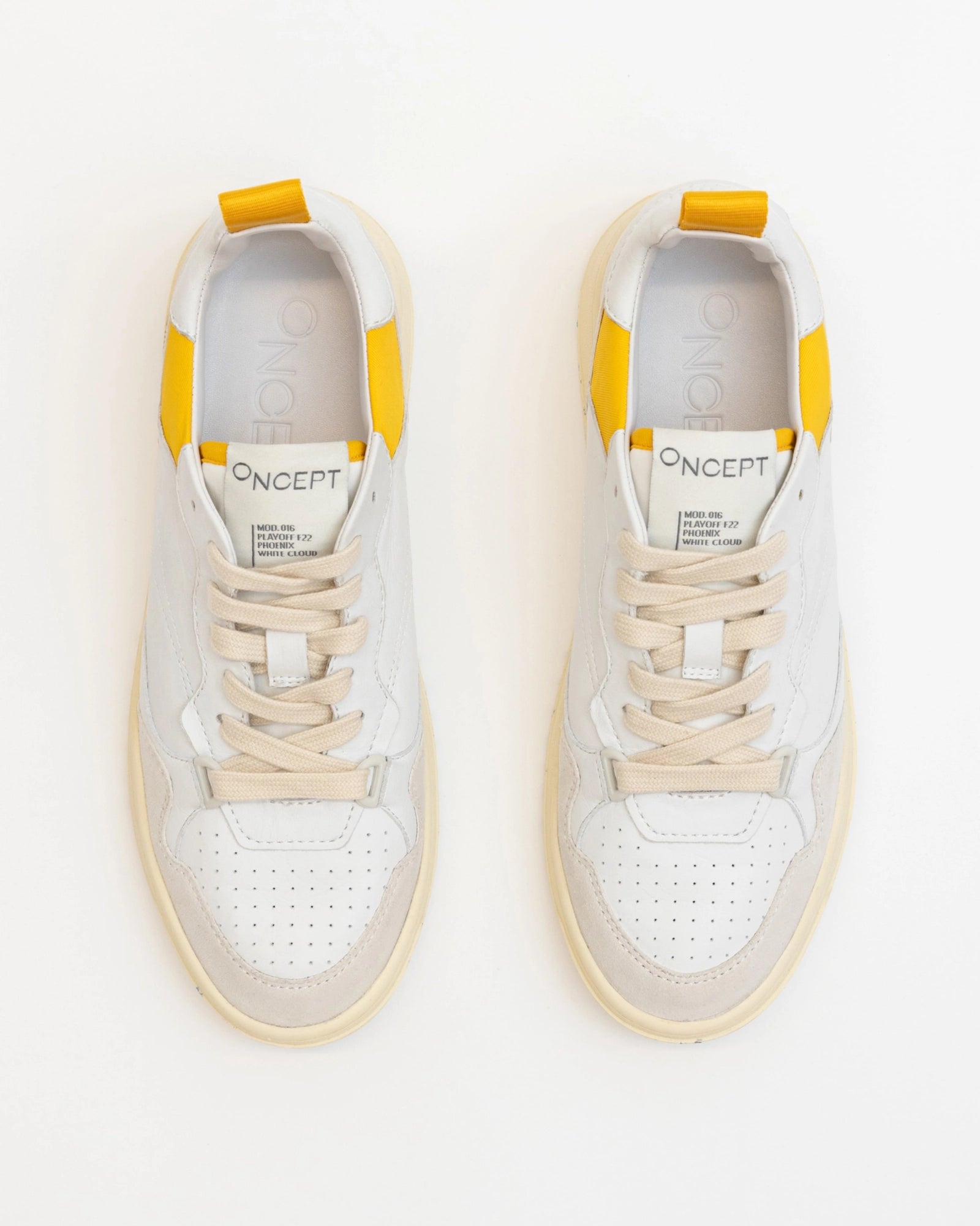 Phoenix in White Cloud