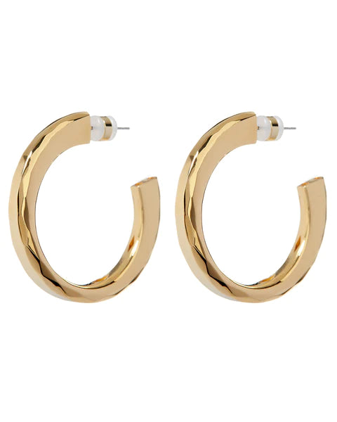 Architectural Statement Hoops